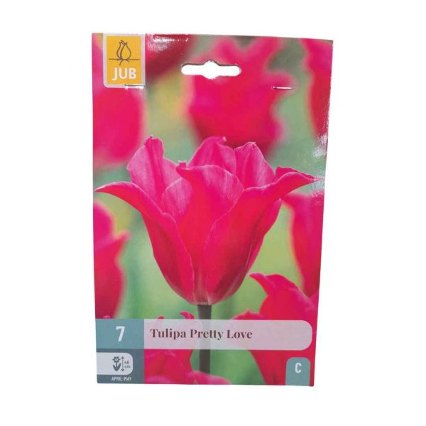 Tulipán Pretty Love 7 cibúľ
