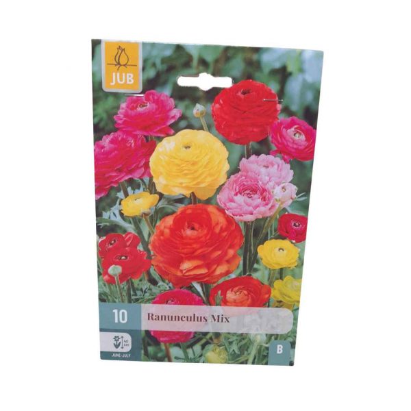 Iskerník Mix 10 cibúľ
