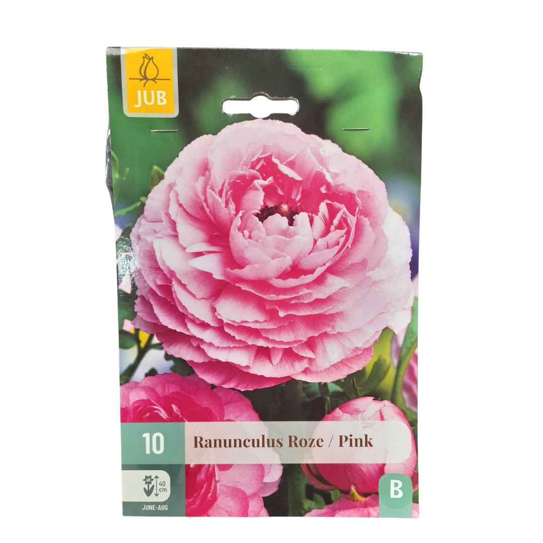 Iskerník pink 10 cibúľ | záhradníctvo garden team Iskerník pink 10 cibúľ