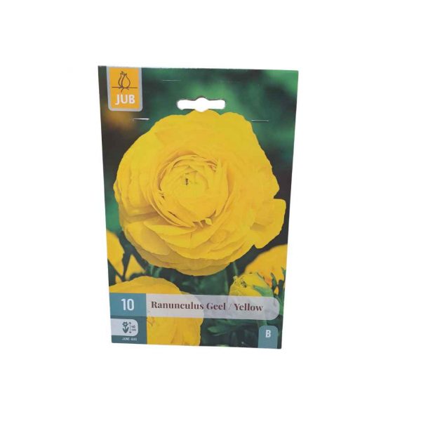 Iskerník Geel Yellow 10 cibúľ
