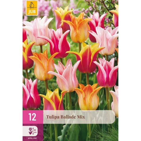 Tulipán Ballade Mix 12 cibúľ