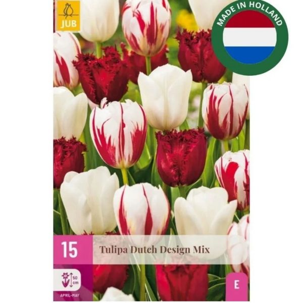 Tulipán Dutch Design Mix 15 cibúľ