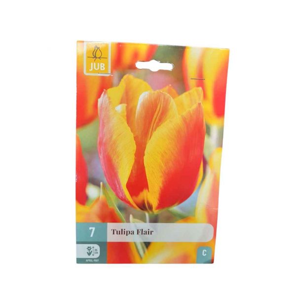 Tulipán Flair 7 cibúľ