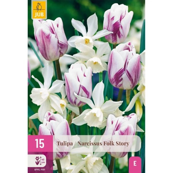Tulipán/Narcis Folk Story 15 cibúľ