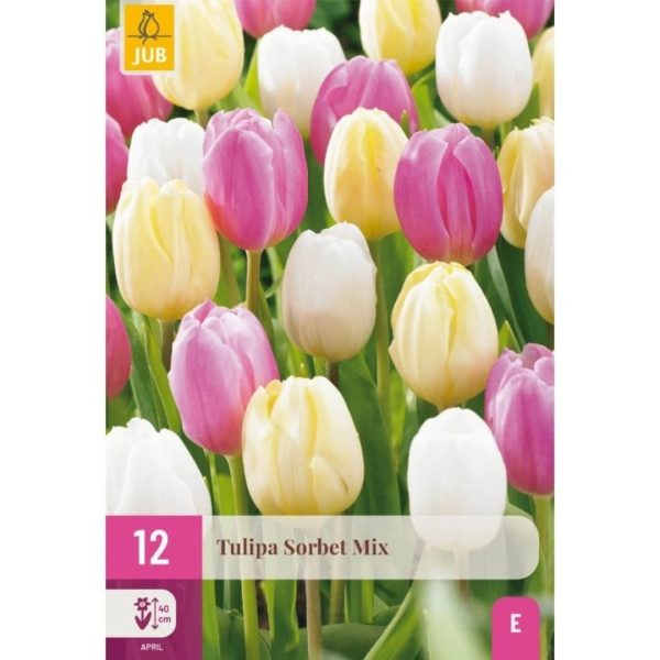 Tulipán Sorbet Mix 12 cibúľ